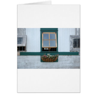 Barnfenster