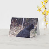 Bärngeburtstagskarte Karte (Gelbe Blume)