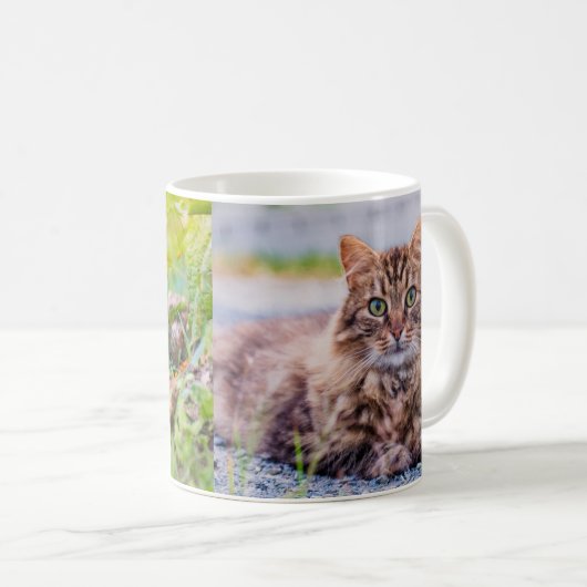 Barnkatzen - Elle & Mew Coffee Tasse (VorderseiteRechts)