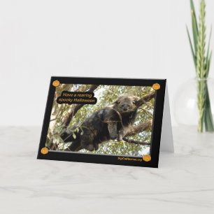 Bärnkatzen u. Binturong Halloween Karte