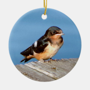 Barnschluckverzierung Keramik Ornament