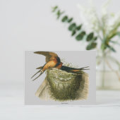 Barnschwalbe Postkarte (Stehend Vorderseite)