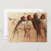 Barnschwalbe Postkarte (Vorne/Hinten)