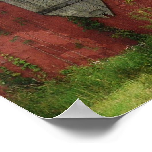 Barnschwalben auf der Linie Poster (Ecke)