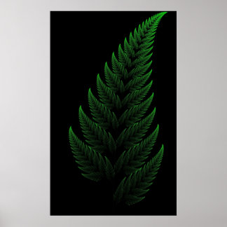 Barnsley Fern Poster