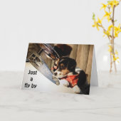 BARNSTORMING RUSSELL TERRIOREN SAGEN GLÜCKLICH 40. KARTE (Gelbe Blume)