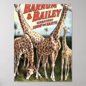 Barnum & Bailey Giraffes Retro Theater Poster (Vorne)