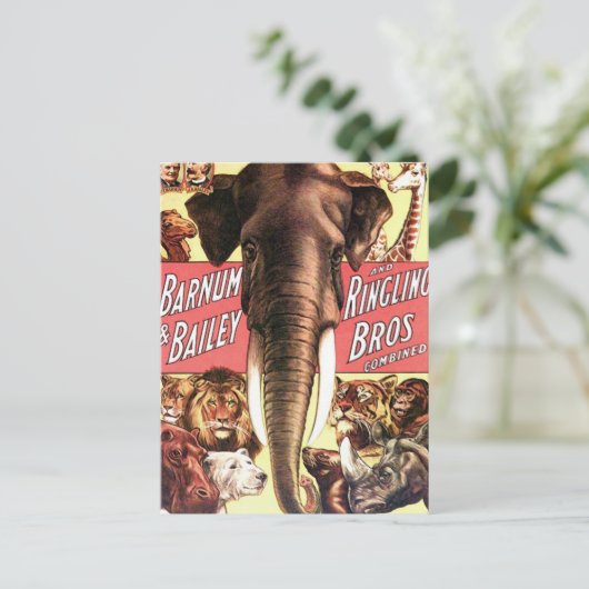 Barnum & Bailey und Ringling Bros kombiniert - Ele Postkarte (Stehend Vorderseite)