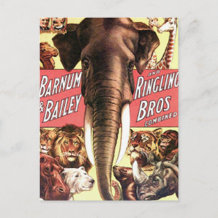 Barnum & Bailey und Ringling Bros kombiniert - Ele Postkarte