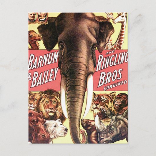 Barnum & Bailey und Ringling Bros kombiniert - Ele Postkarte (Vorderseite)