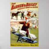 Barnum & Bailey - Wonderful Performing Geese Poster (Vorne)