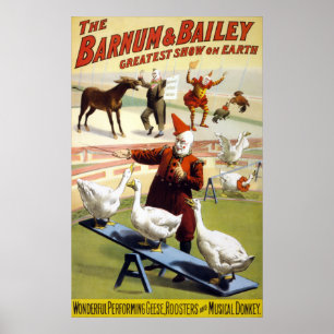 Barnum & Bailey - Wonderful Performing Geese Poster