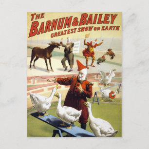 Barnum & Bailey - Wunderbar auftretende Gänse Postkarte