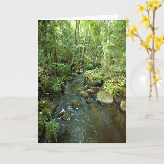 "Barnum Brook" Adirondack Forest and Trees Scene Karte (Gelbe Blume)