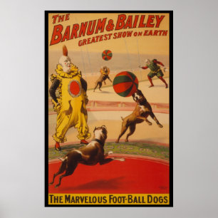 Barnum u. Bailey-Zirkus-Fußball-Hundeplakat Poster