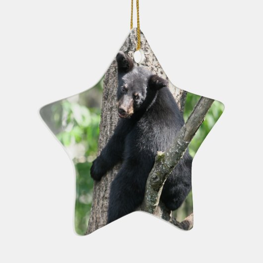 Bärnverzierung Keramikornament (Rechts)