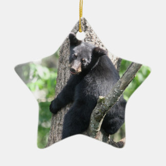 Bärnverzierung Keramikornament