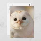 Barny the Barn Owl Postkarte (Vorne/Hinten)