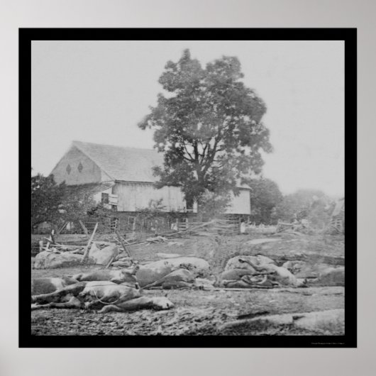 Barnyard and Horses in Gettysburg 1863 Poster (Vorne)