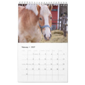 Barnyard Bliss Farm Animal Kalender (Feb 2027)