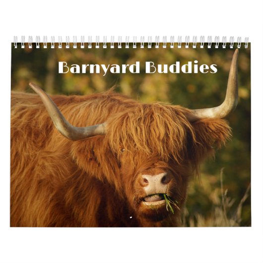 Barnyard Buddies Farm Kalender (Titelbild)