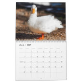 Barnyard Buddies Farm Kalender (Mär 2027)