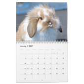 Barnyard Buddies Farm Kalender (Jan 2027)