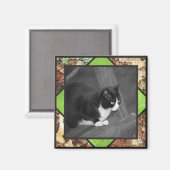 Barnyard Cat Magnet (Vorderseite/Rückseite)