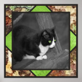 Barnyard Cat Poster (Vorne)