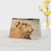 Barnyard Freunde Karte (Gelbe Blume)