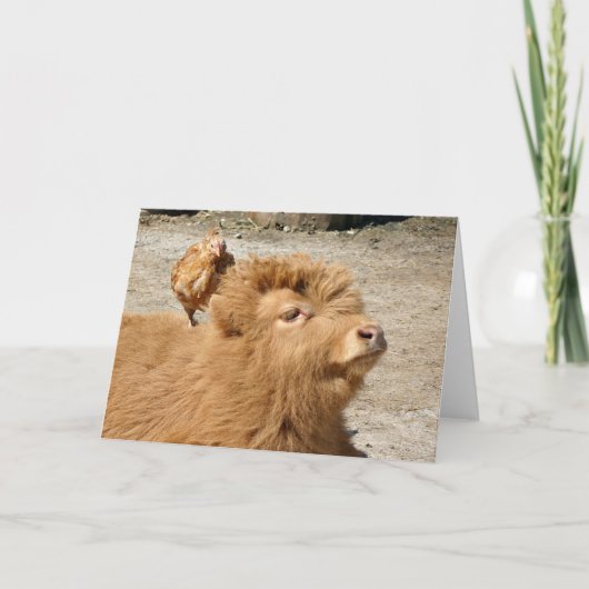 Barnyard Freunde Karte (Vorderseite)