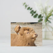 Barnyard Freunde Postkarte (Stehend Vorderseite)