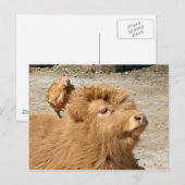 Barnyard Freunde Postkarte (Vorne/Hinten)