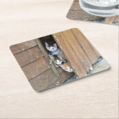 Barnyard Kittens Rechteckiger Pappuntersetzer (angewinkelt)