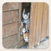 Barnyard Kittens Rechteckiger Pappuntersetzer (Vorderseite)