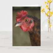 Barnyard Mix Hen Karte (Gelbe Blume)