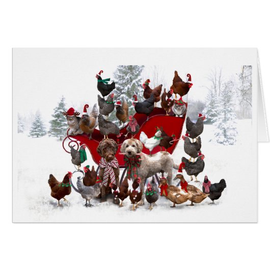 BARNYARD-TIERE MIT SCHLECHTER CHRISTMAS-KARTE (Vorderseite (Horizontal))