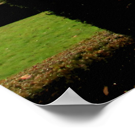 Barock Elegante Poster (Ecke)