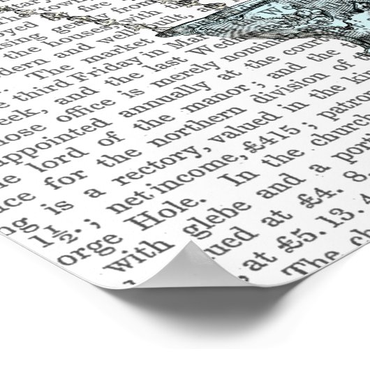 Barock Fantasy Ballon 2 Poster (Ecke)