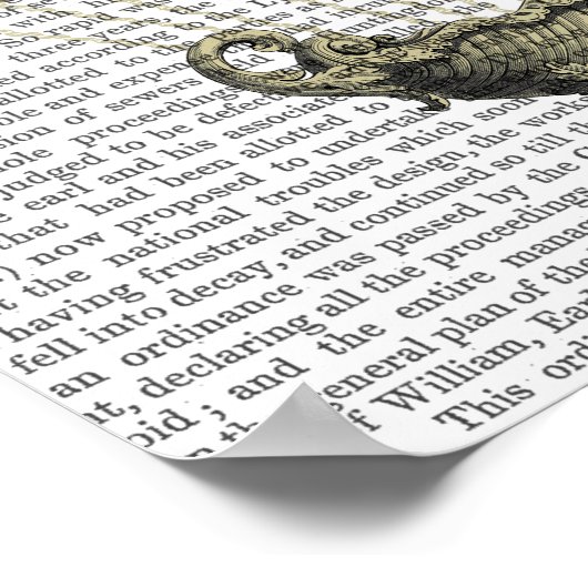 Barock Fantasy Balloon Poster (Ecke)