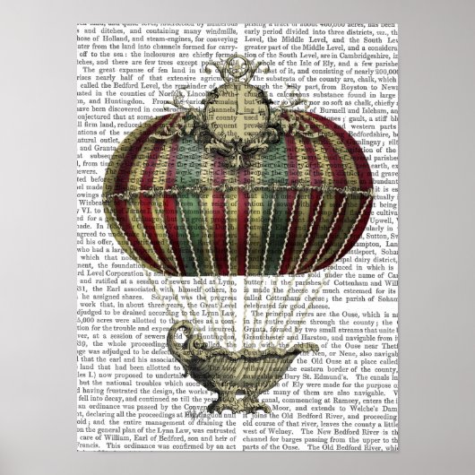 Barock Fantasy Balloon Poster (Vorne)