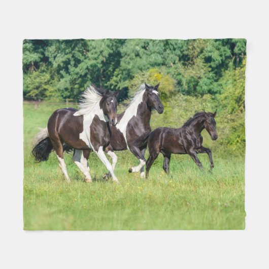 Barock Pinto Pferde Herde mit Niedlichem Foal Gall Fleecedecke (Vorderseite (Horizontal))