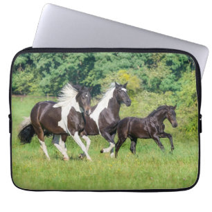 Barock Pinto Pferde Herde mit Niedlichem Foal Gall Laptopschutzhülle