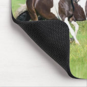 Barock Pinto Pferde Herde mit Niedlichem Foal Gall Mousepad (Ecke)