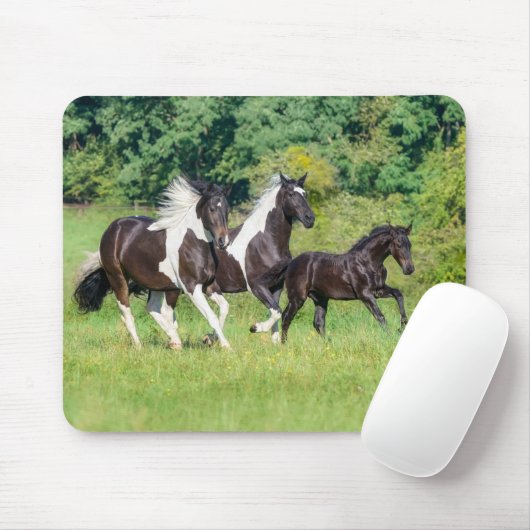 Barock Pinto Pferde Herde mit Niedlichem Foal Gall Mousepad (Mit Mouse)