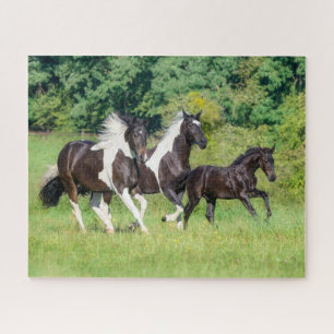 Barock Pinto Pferde Herde mit Niedlichem Foal Gall Puzzle