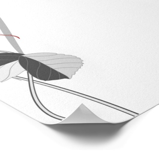 Barockpferd Poster (Ecke)