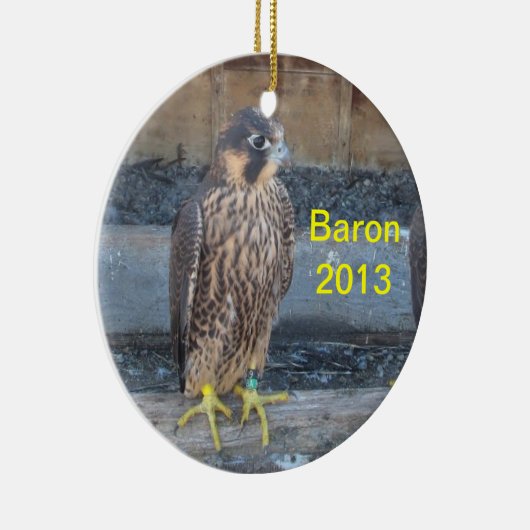 Baron 2013 Ornament (Rechts)