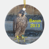 Baron 2013 Ornament (Vorne)