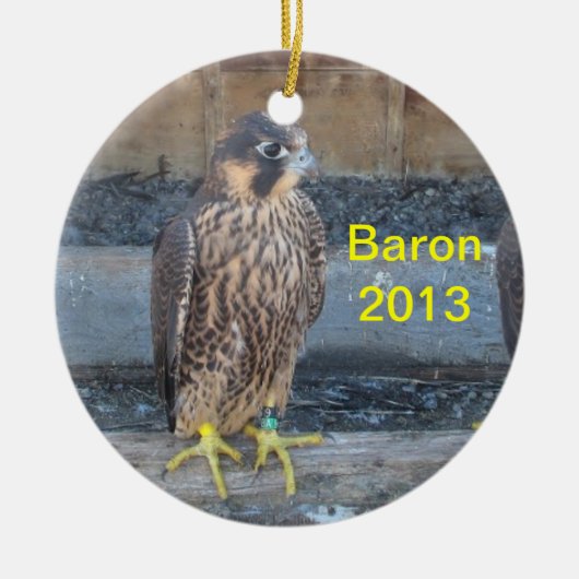 Baron 2013 Ornament (Vorne)